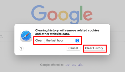 clearing history in safari browser